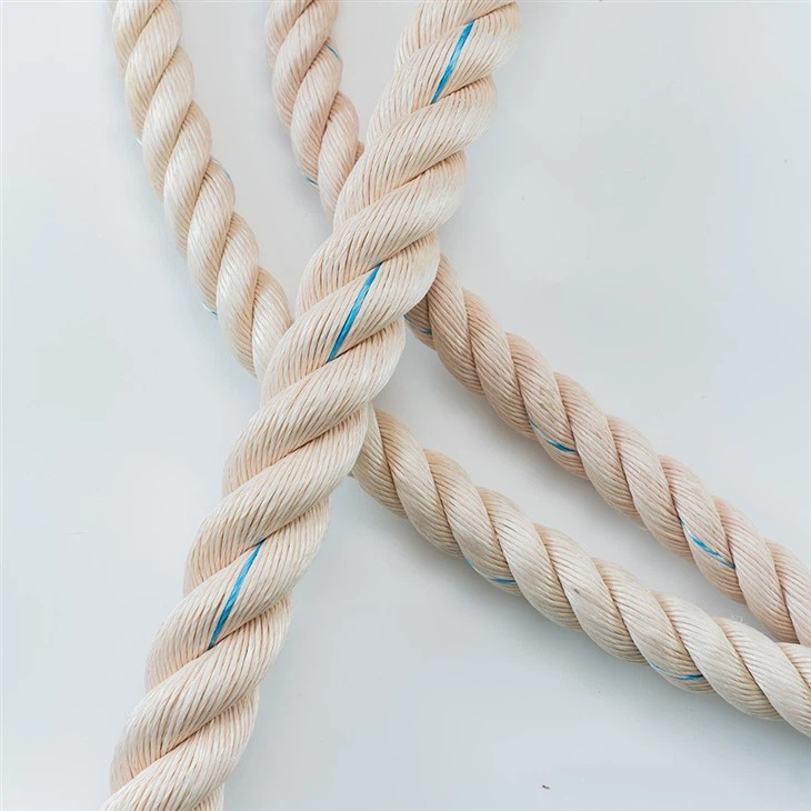 3 Strands PP Mono Danline Rope