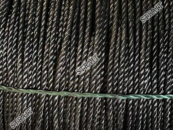 Fishing Gaff With Rope